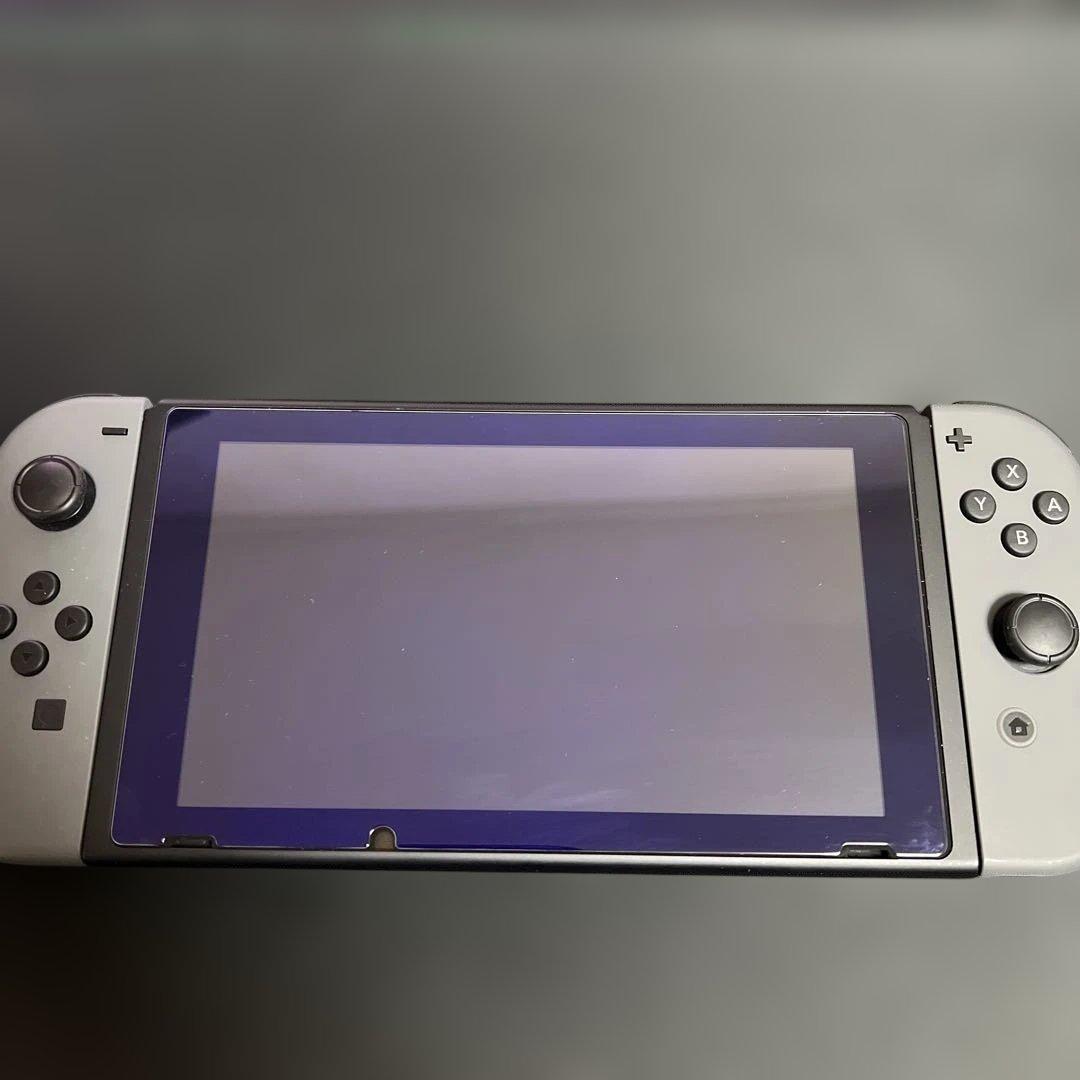 Nintendo Switch グレー 本体　箱付き　ケース付き