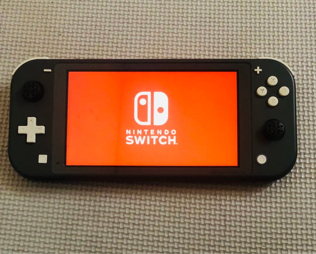 Nintendo Switch Lite グレー 本体【ジャンク品】