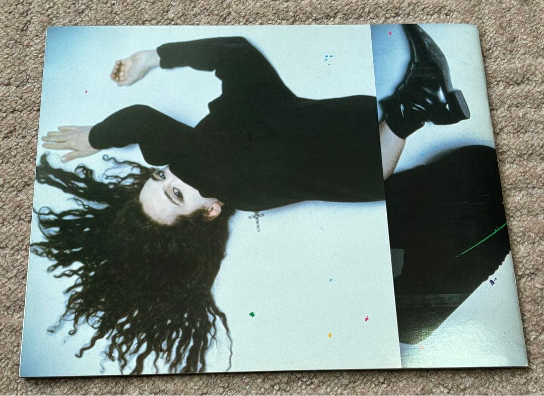 レア！デッド・オア・アライブ／Rip It Up 1987 ツアーパンフレット