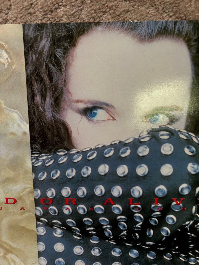 レア！デッド・オア・アライブ／Rip It Up 1987 ツアーパンフレット