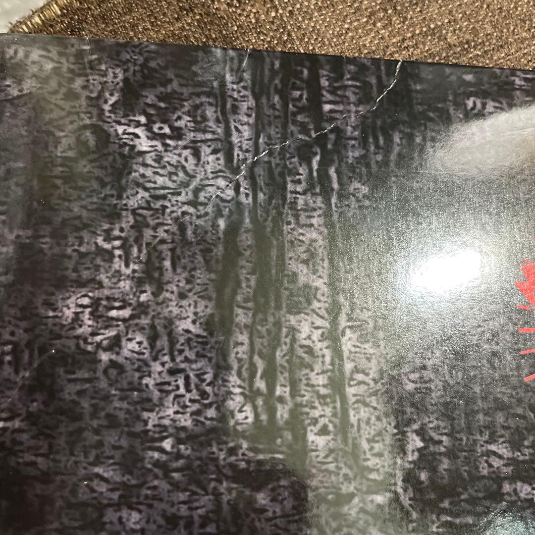 BTS dark&wild カラー盤