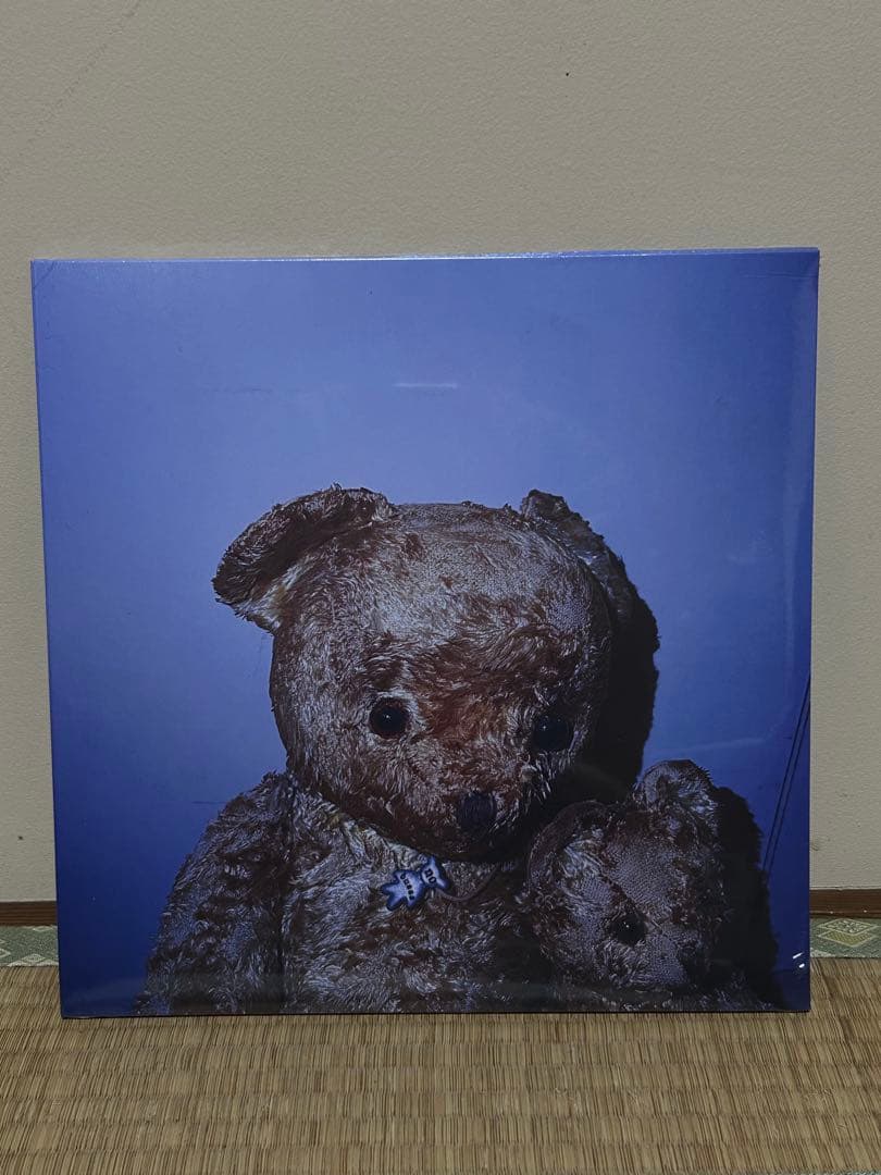 no buses レコード LP