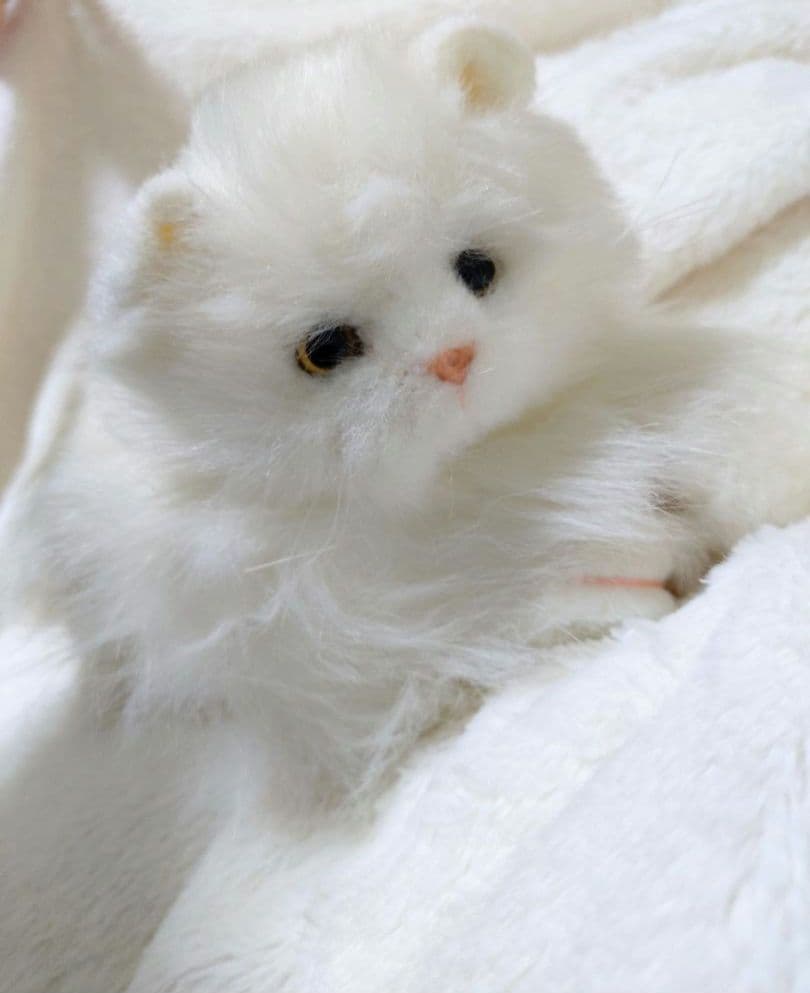 ペルシャ猫　入手困難　ヴィンテージ　廃盤　ペルシャ　ねこ　希少　アンティーク