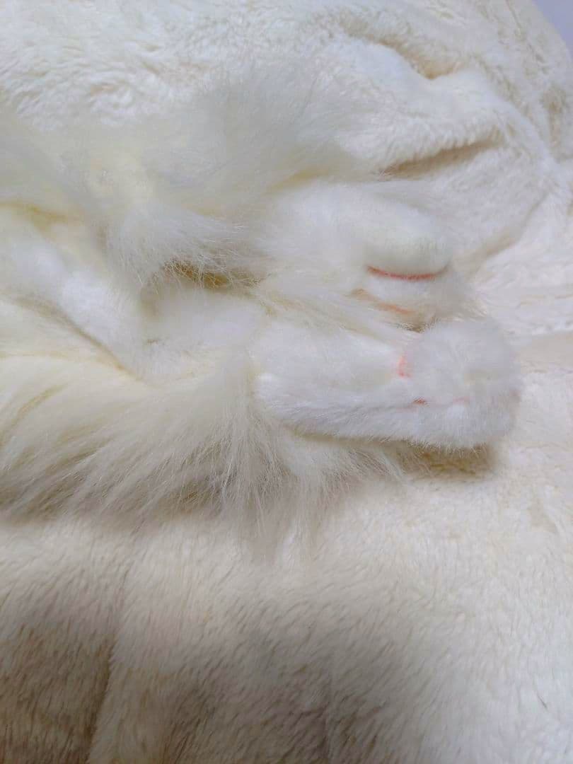 ペルシャ猫　入手困難　ヴィンテージ　廃盤　ペルシャ　ねこ　希少　アンティーク