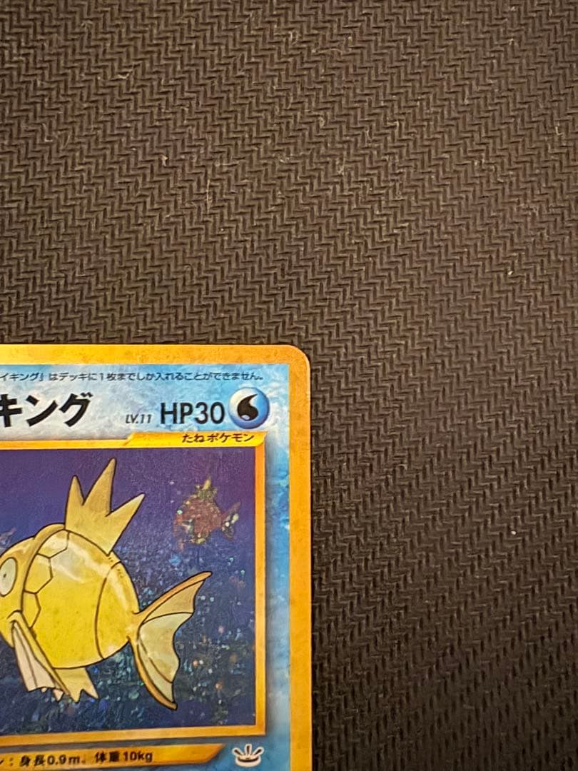 ひかるコイキング 旧裏①