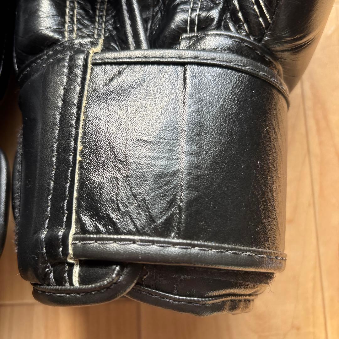 Fairtex（フェアテックス）ボクシンググローブ BGV1 本革制 16oz