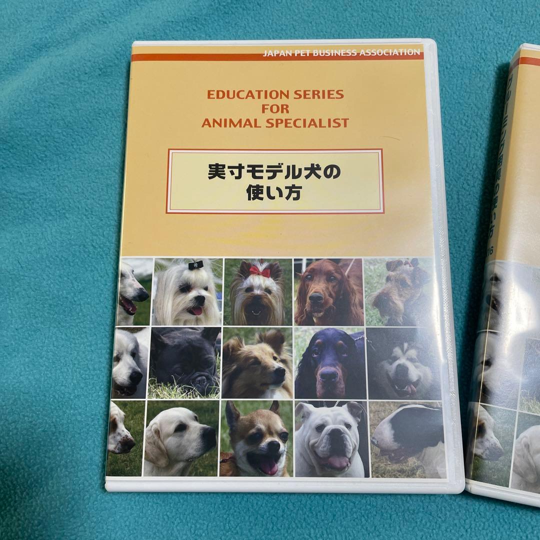 ドギーグルーミング教材DVD