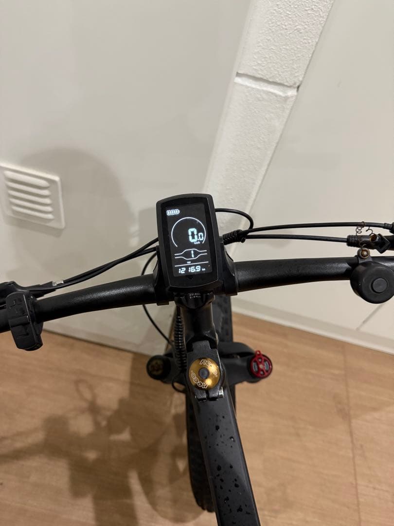 MOVE X 電動アシスト自転車