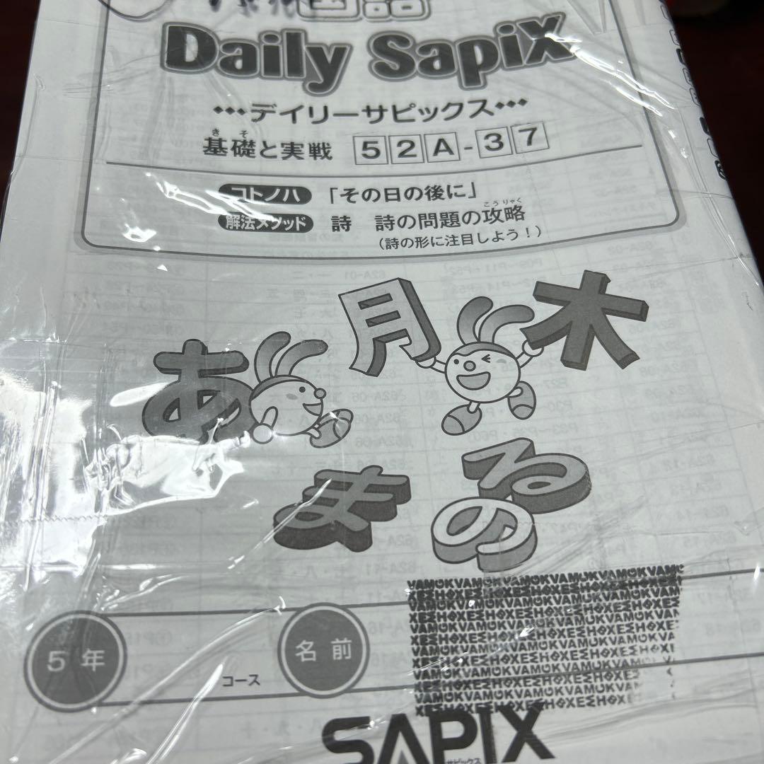 ㉒AAA レア未記入　サピックス　SAPIX 5年　国語Aテキスト　基礎と実戦