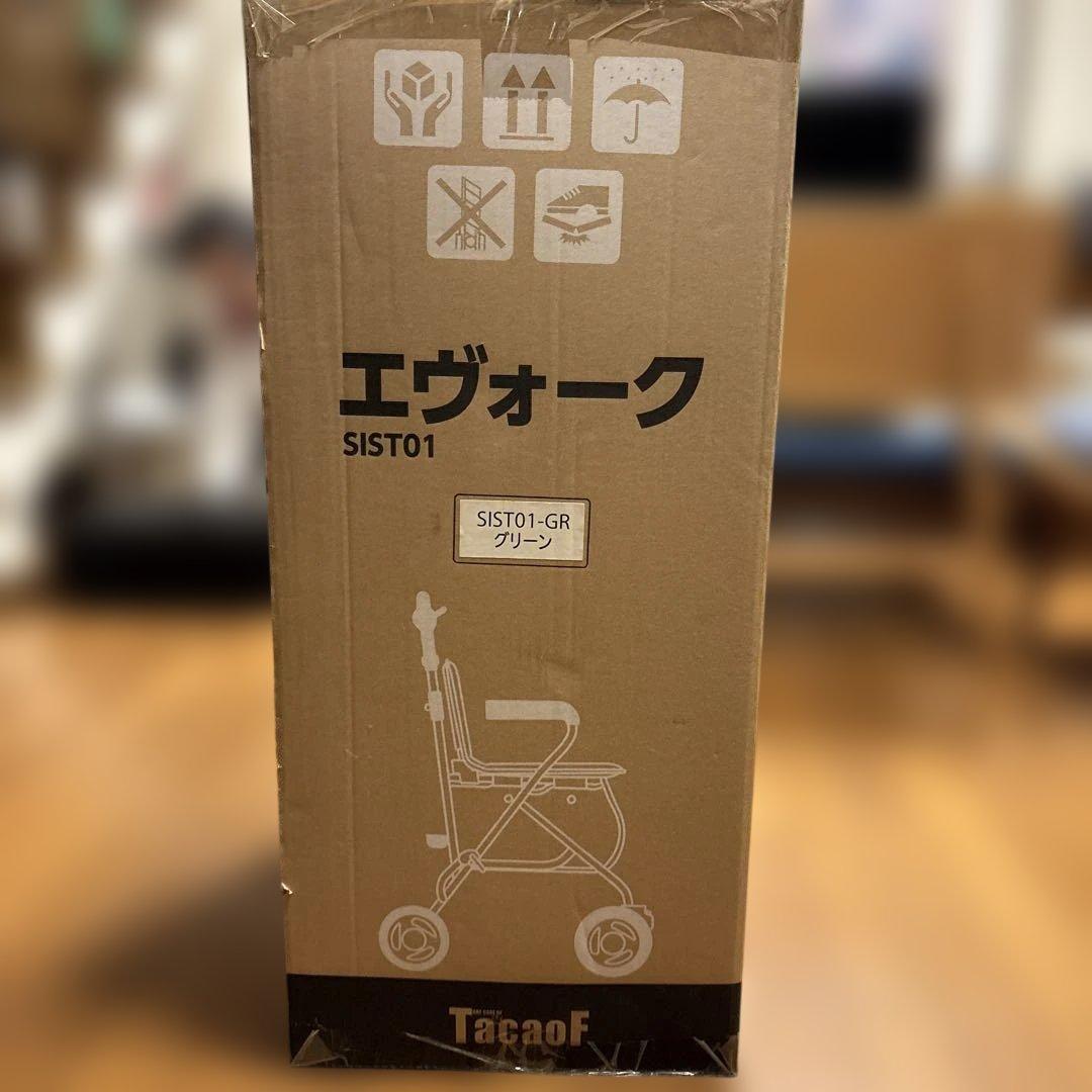 エヴォーグSIST01-GR