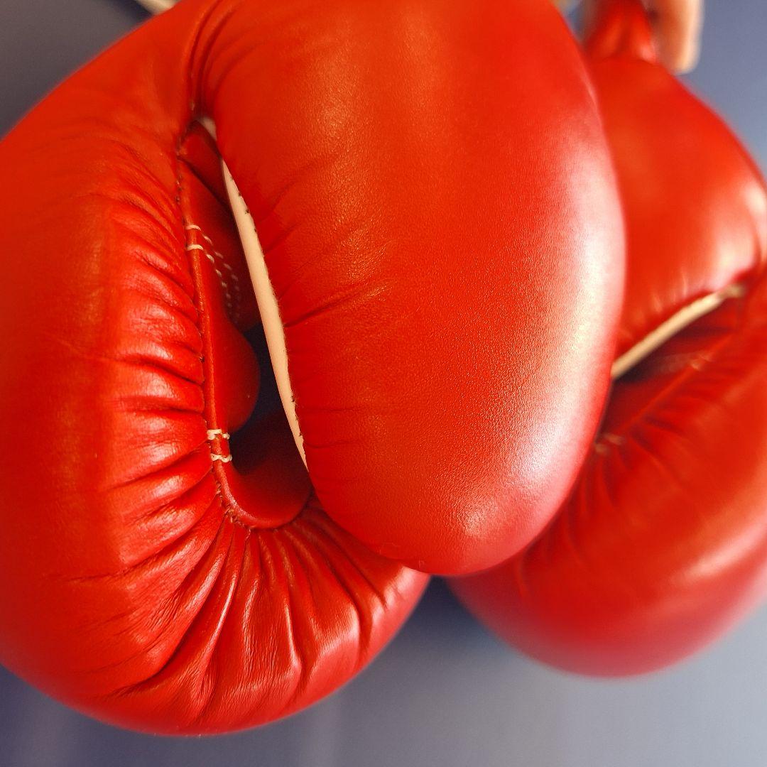 WINDY ボクシンググローブ 10 oz 赤 紐タイプ