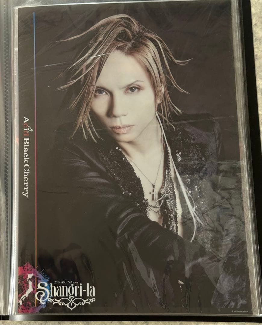 Acid Black Cherry ポスター　35種セット