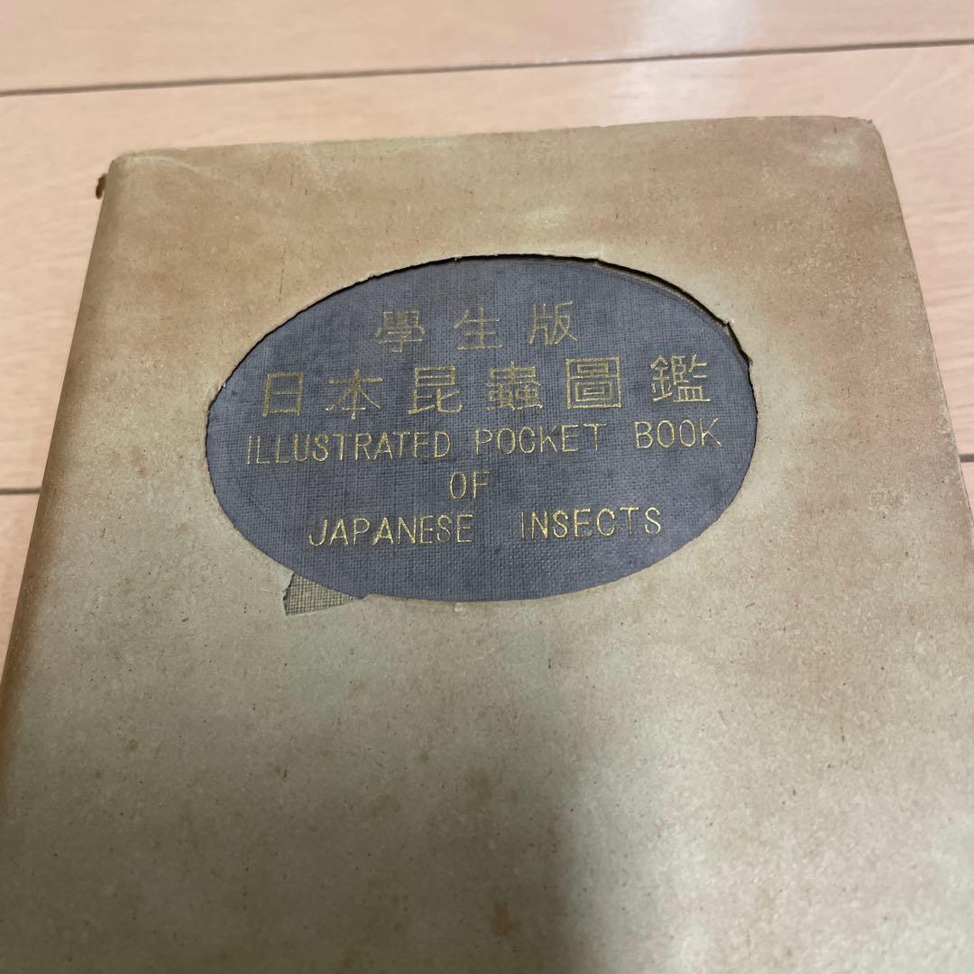 【希少】学生版 日本昆虫図鑑 昭和26年3月