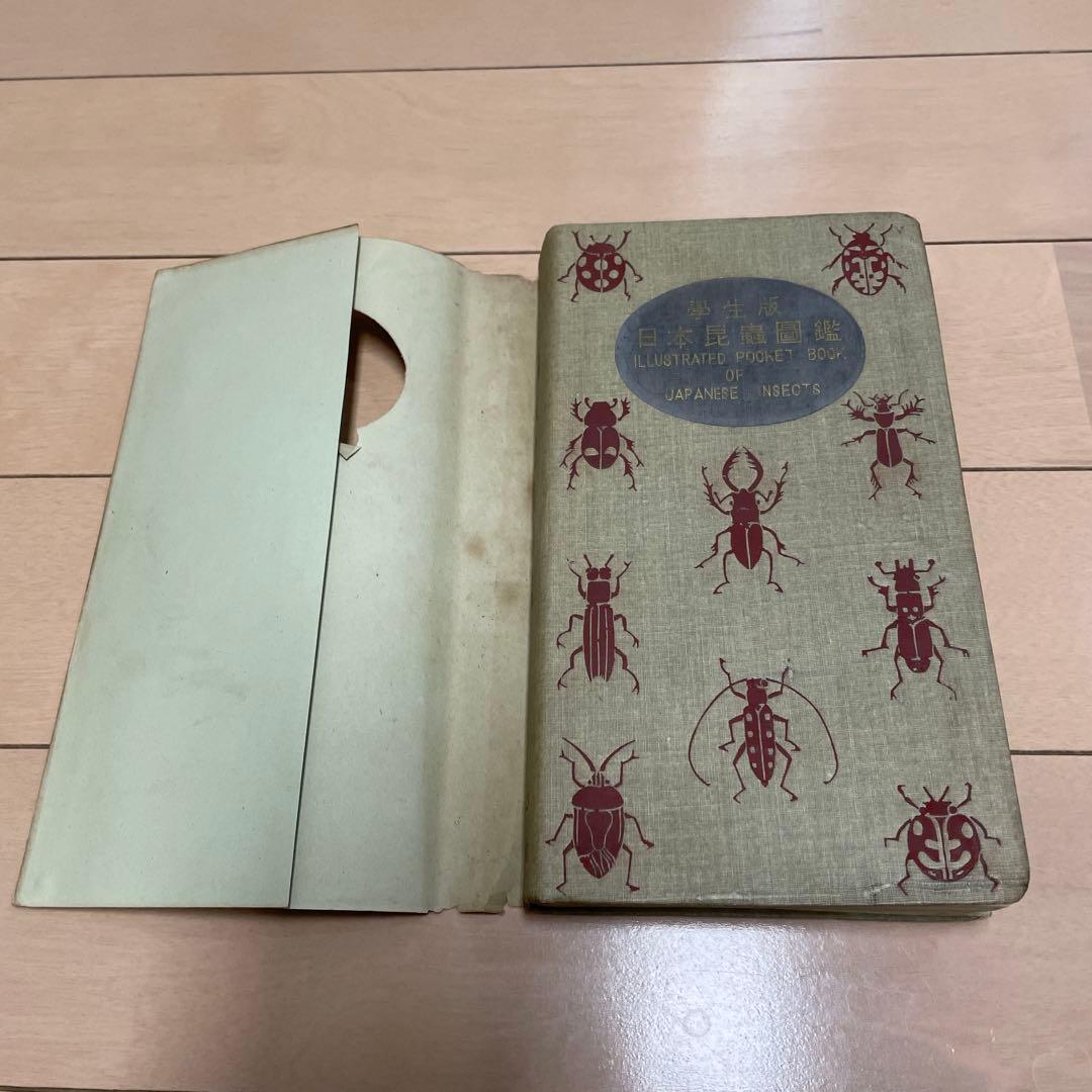 【希少】学生版 日本昆虫図鑑 昭和26年3月