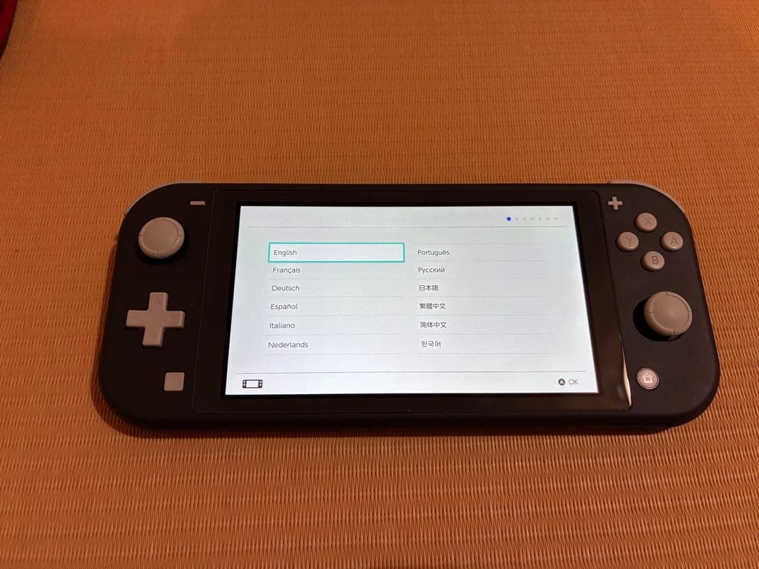 Nintendo Switch Lite グレー充電器付き 箱付き　ケース付き