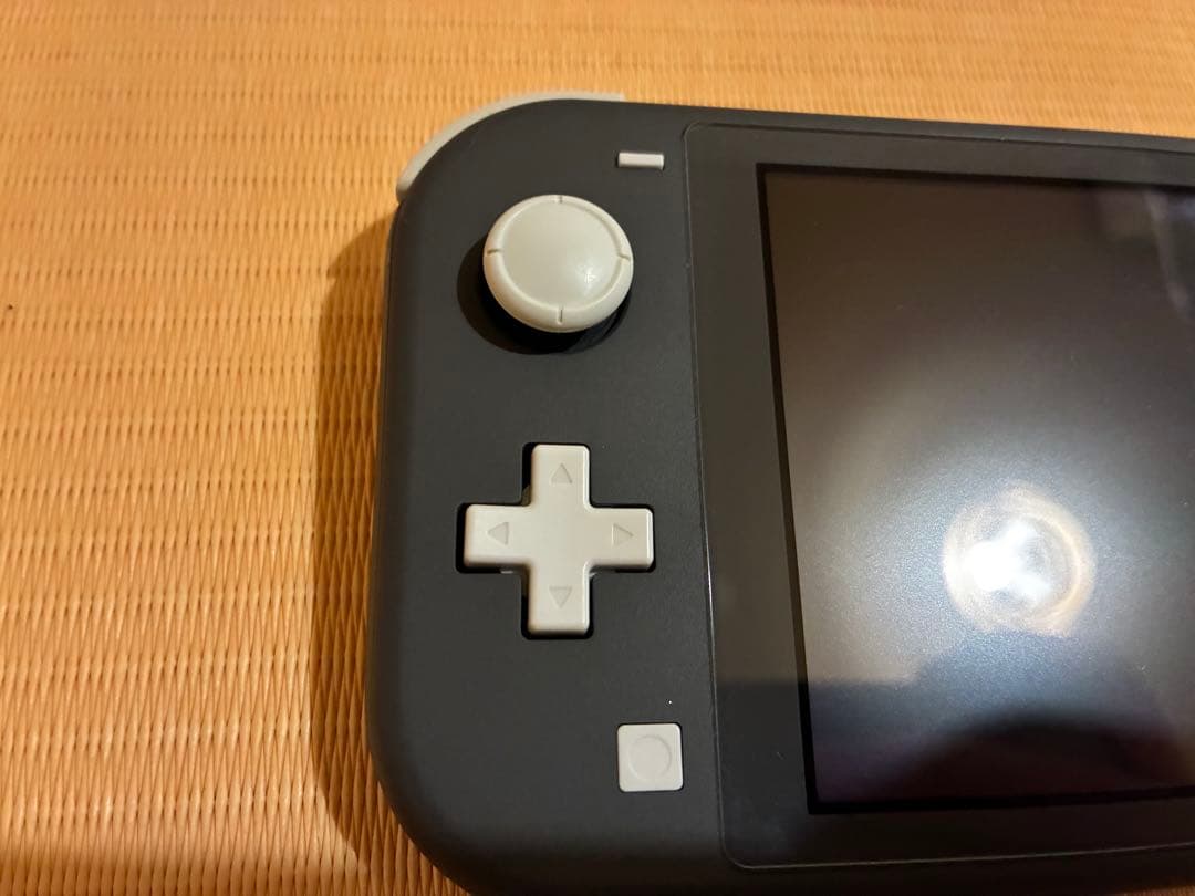 Nintendo Switch Lite グレー充電器付き 箱付き　ケース付き