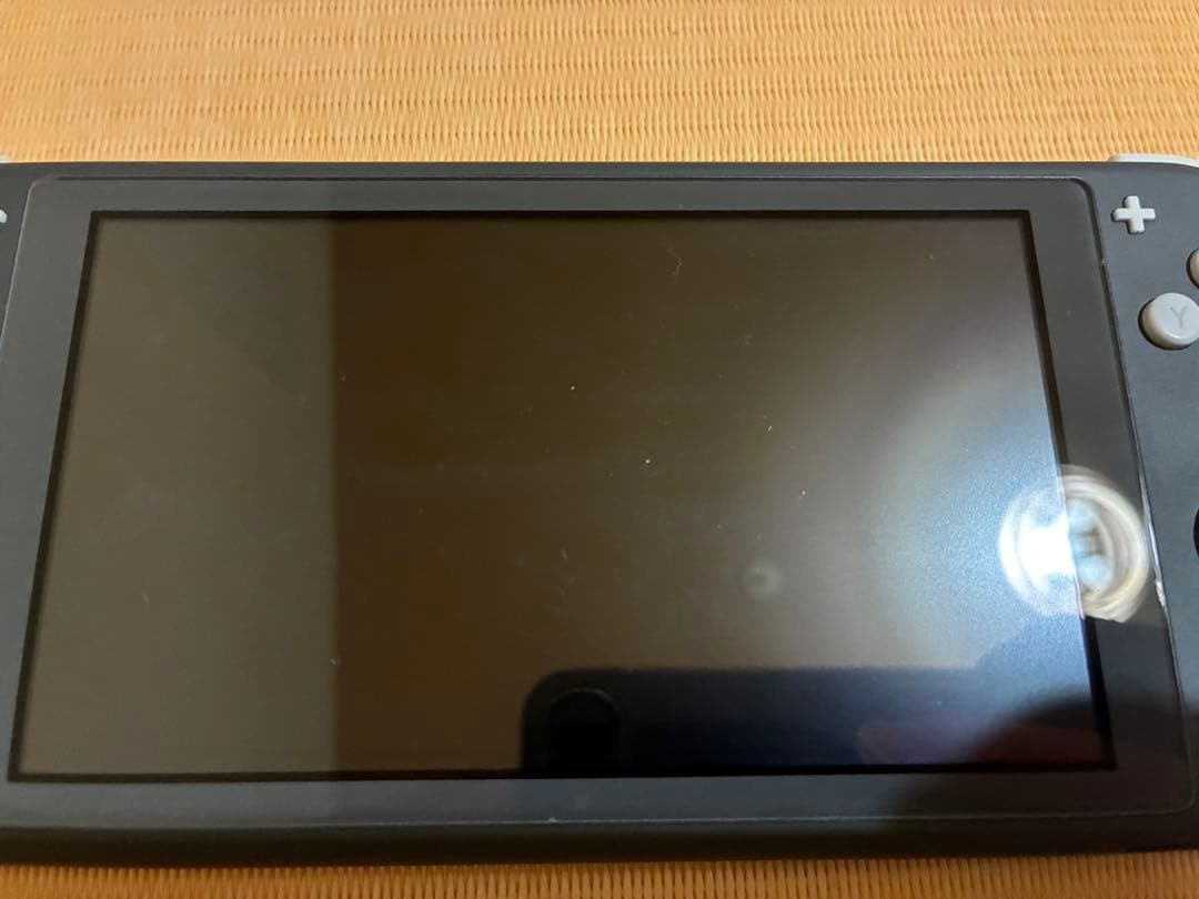 Nintendo Switch Lite グレー充電器付き 箱付き　ケース付き