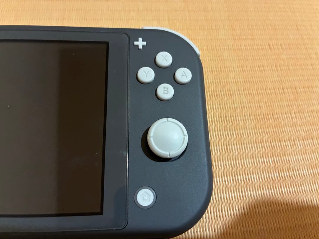 Nintendo Switch Lite グレー充電器付き 箱付き　ケース付き