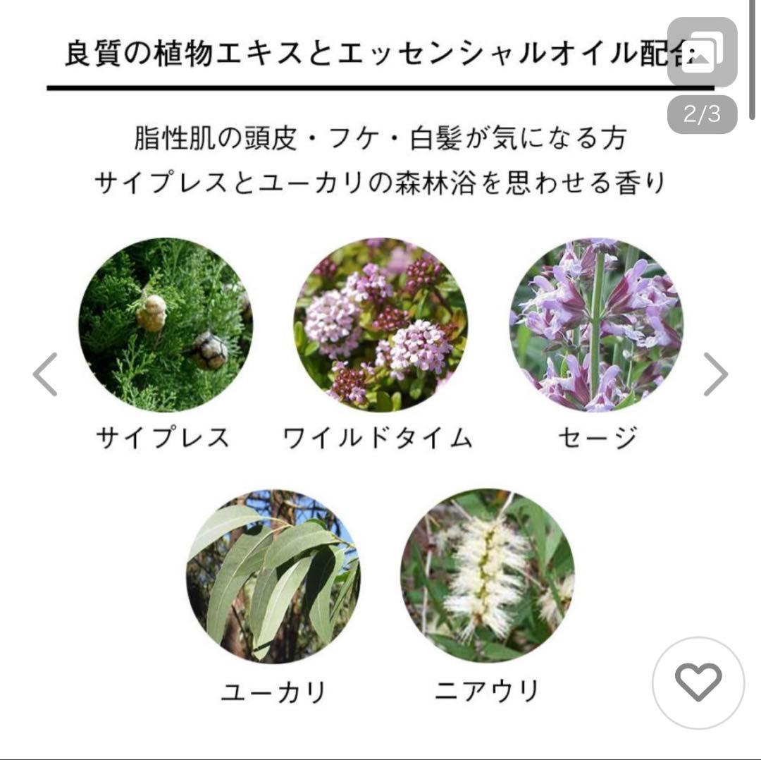 新品　Josiane laure 頭皮ケア