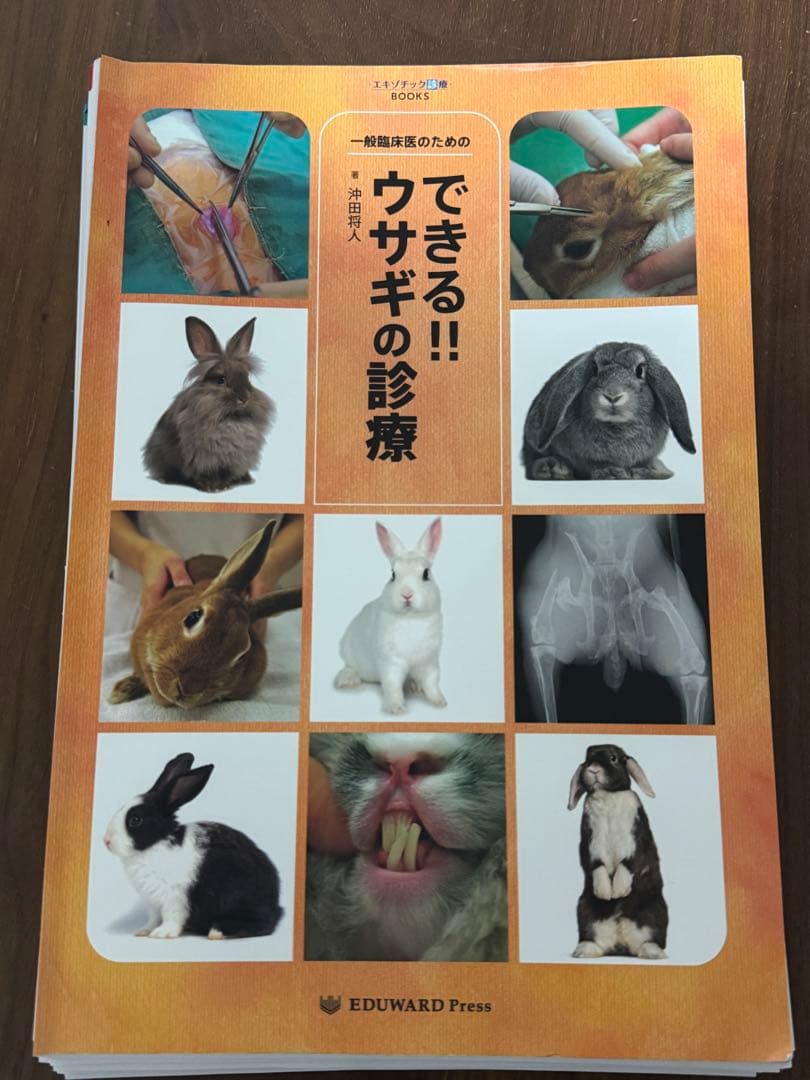できる！！　ウサギの診療　最新版