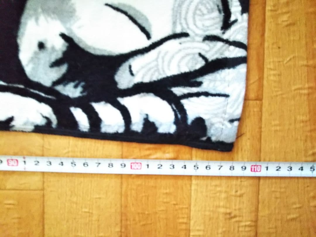 WWE LIVE TOKYO 2019グッズ タオル 中邑真輔