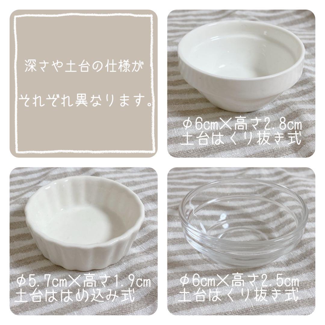 【Cocci☆*。】ことりのあそびば