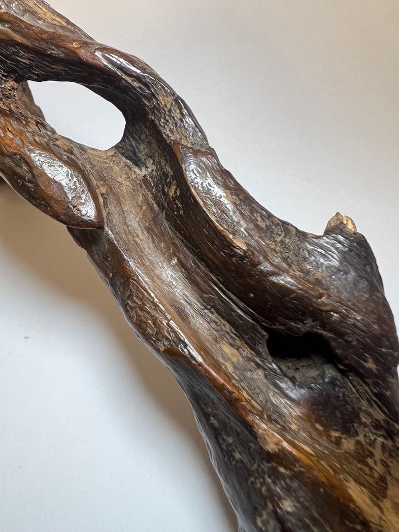 香木 伽羅 沈香 志野流 香道◆寸門多羅「池の亀」177.66g名香コレクション