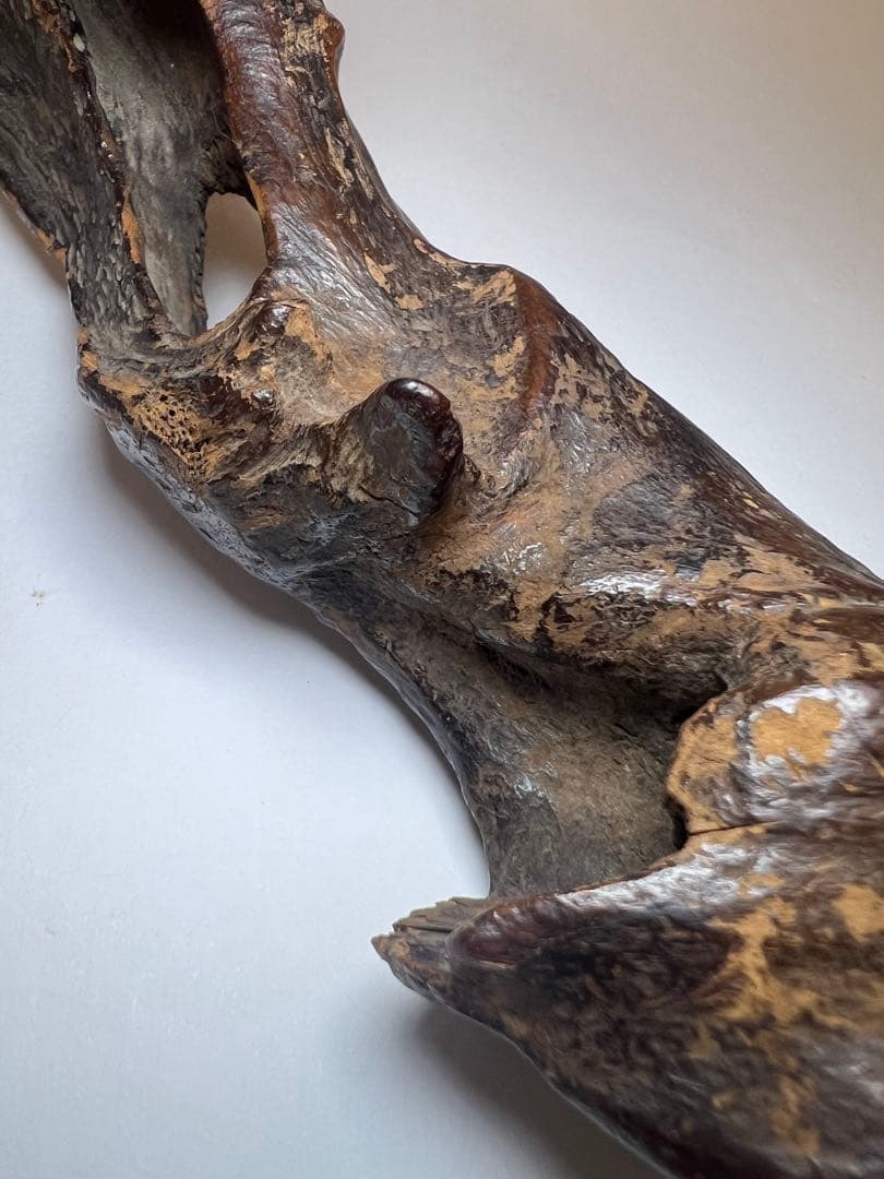 香木 伽羅 沈香 志野流 香道◆寸門多羅「池の亀」177.66g名香コレクション