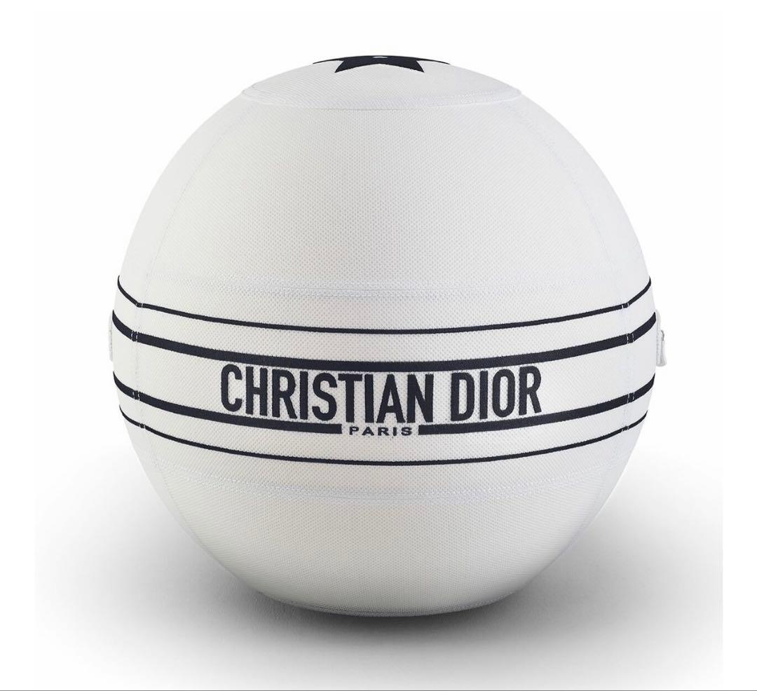 DIOR TECHNOGYM バランスボール