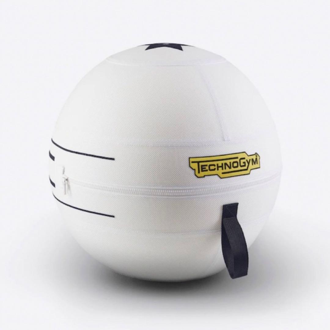 DIOR TECHNOGYM バランスボール