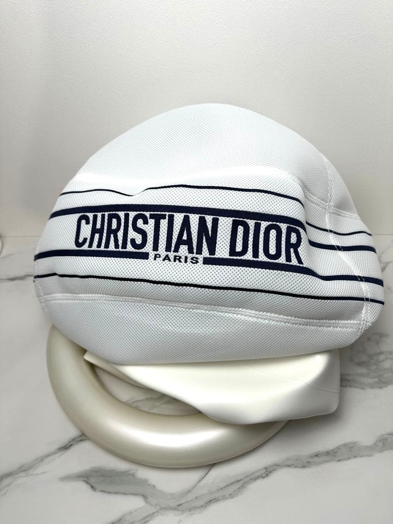 DIOR TECHNOGYM バランスボール