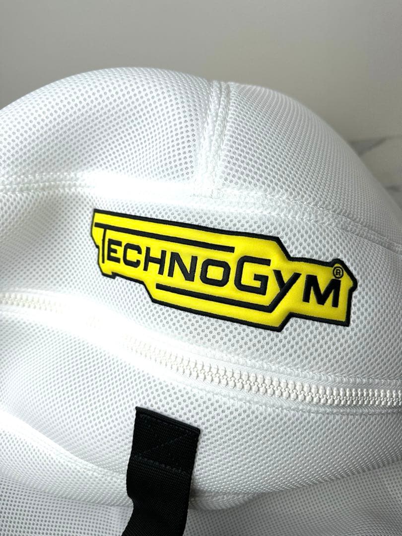 DIOR TECHNOGYM バランスボール