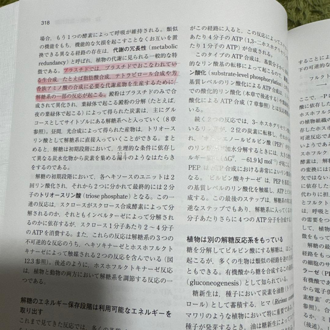 テイツ/ザイガー 植物生理学・発生学 原著第6版