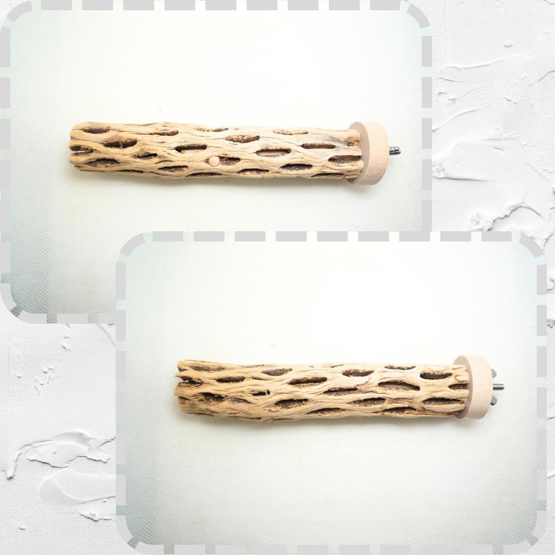 Chiiia様おまとめ　止まり木　カクタススケルトン　パーチ　2本