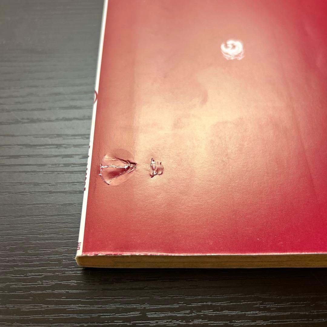 初版 新世紀エヴァンゲリオン 1巻 2巻 3巻 3冊セット 貞本義行