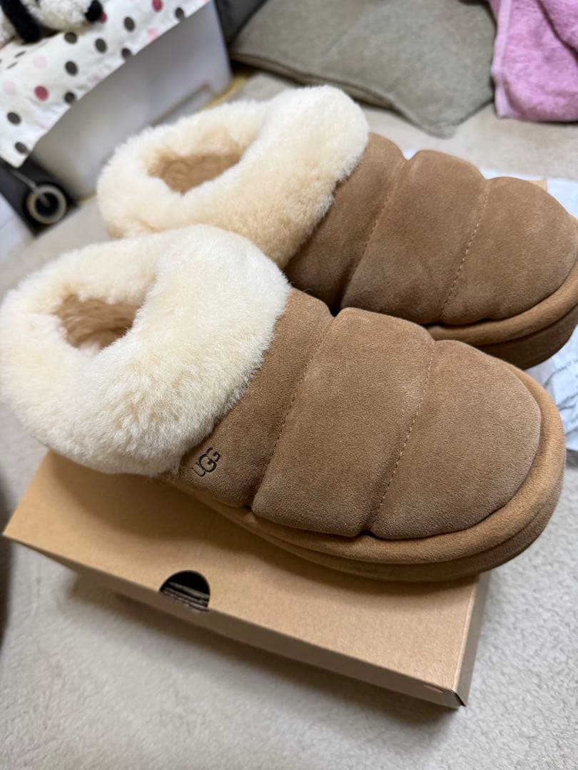 正規品　UGG Tazzlita ダズリータ　チェスナット　39 箱あり