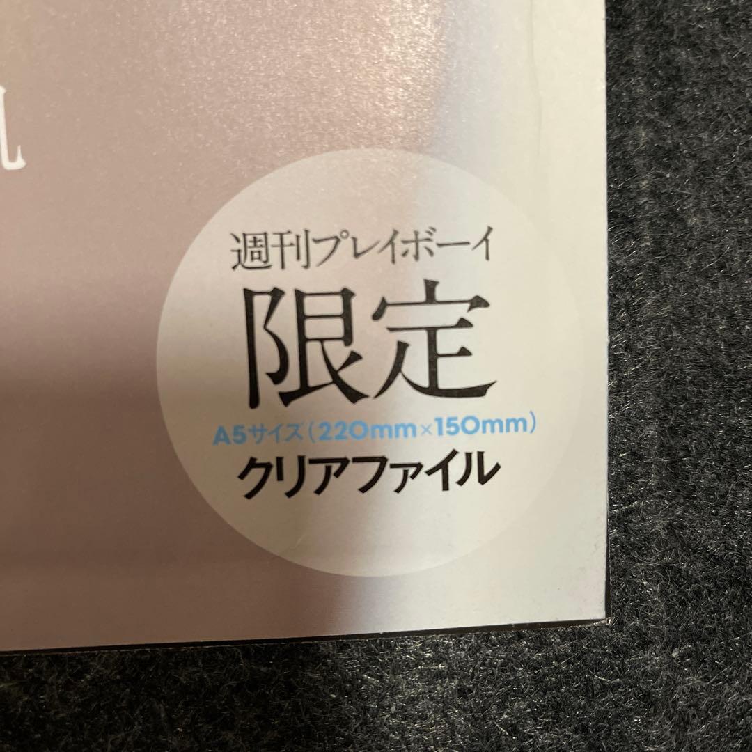 週刊プレイボーイ 2017年 限定クリアファイル付き