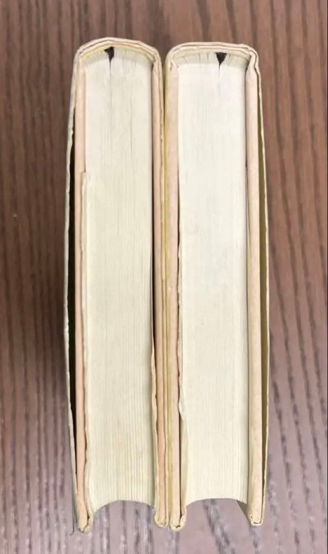 【絶版希少】翻訳仏文法　上・下（鷲見洋一著）〈2冊セット〉