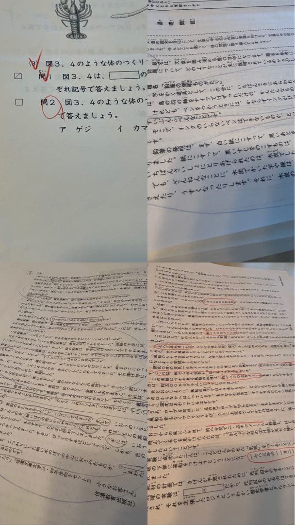 日能研 4年 育成テスト 【前期】2024年