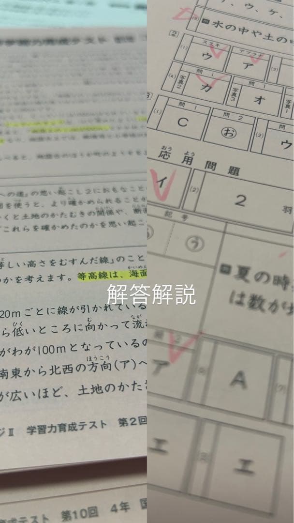 日能研 4年 育成テスト 【前期】2024年