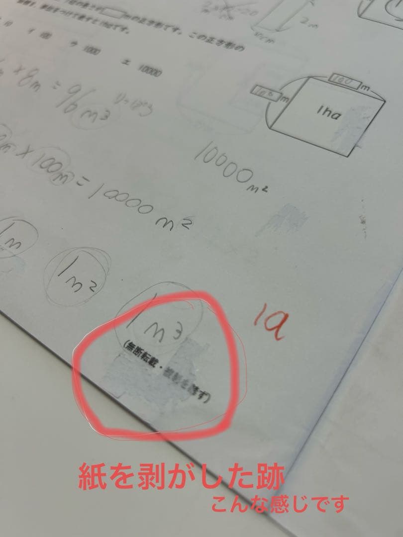 日能研 4年 育成テスト 【前期】2024年