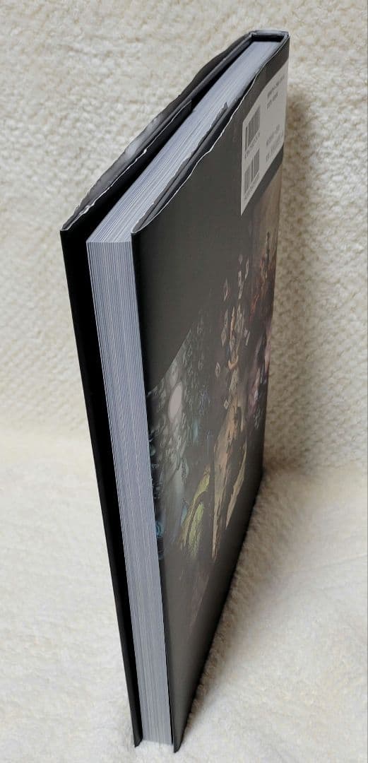 【設定資料集】アートオブアリスマッドネスリターンズ 【日本語版】