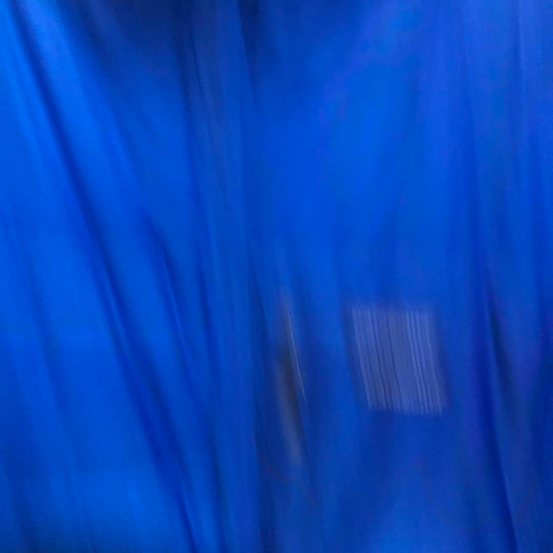 希少 patagonia ダスパーカー　DASPARKAセイロンブルー