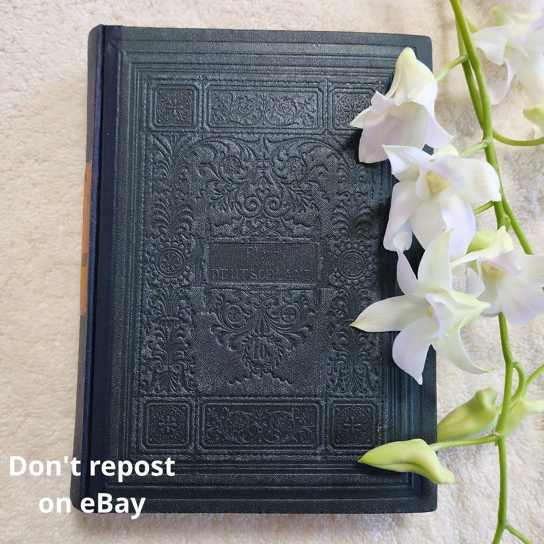 植物図鑑　洋書　ボタニカルアート　アンティーク　リトグラフ　28