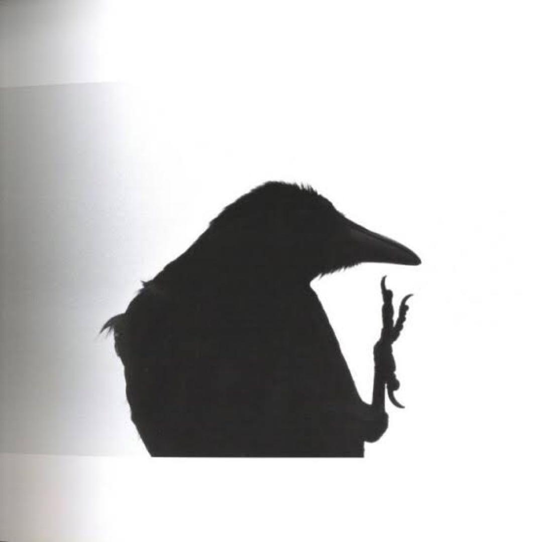 未開封　深瀬昌久　写真集【鴉】RAVENS