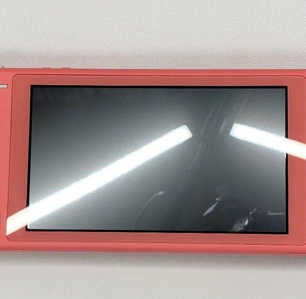 ・Nintendo Switch Lite 本体 動作品 2020 おまけ付き