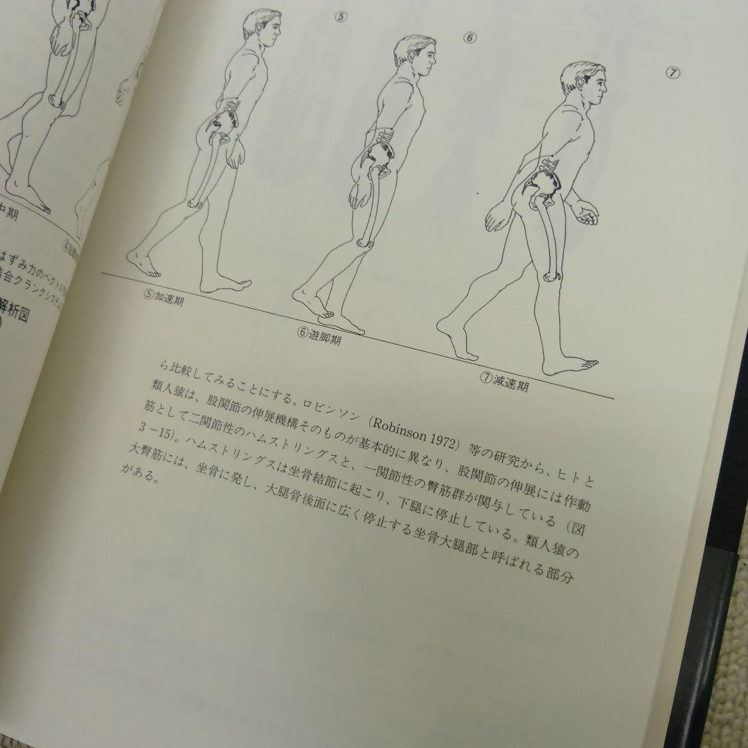 構造医学の原理（基礎編）整骨院 整体　カイロプラクティック