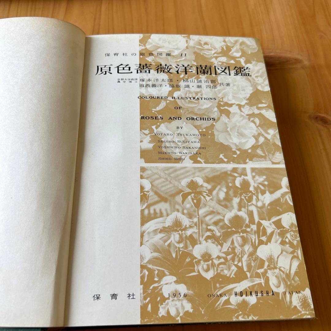 原色薔薇・洋蘭図鑑 1955年