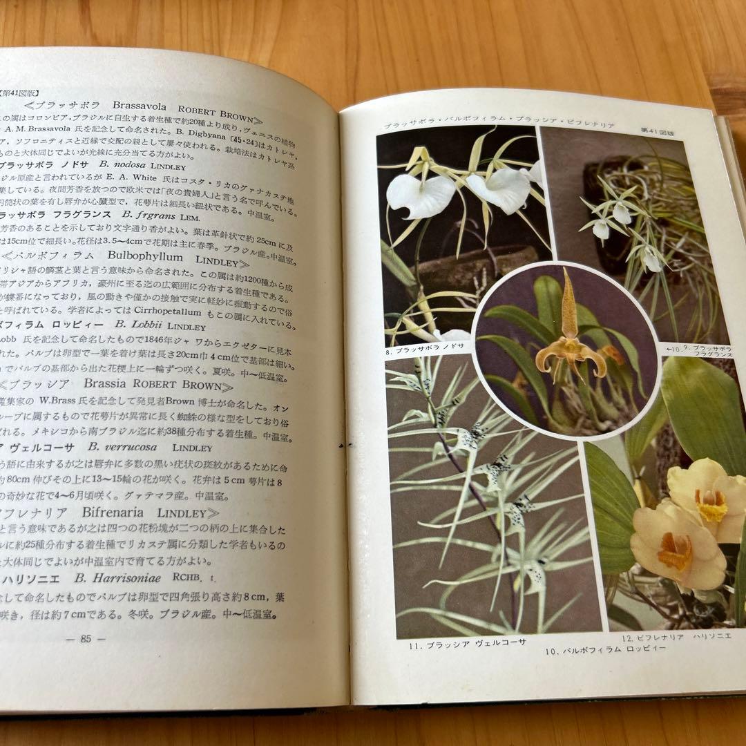 原色薔薇・洋蘭図鑑 1955年