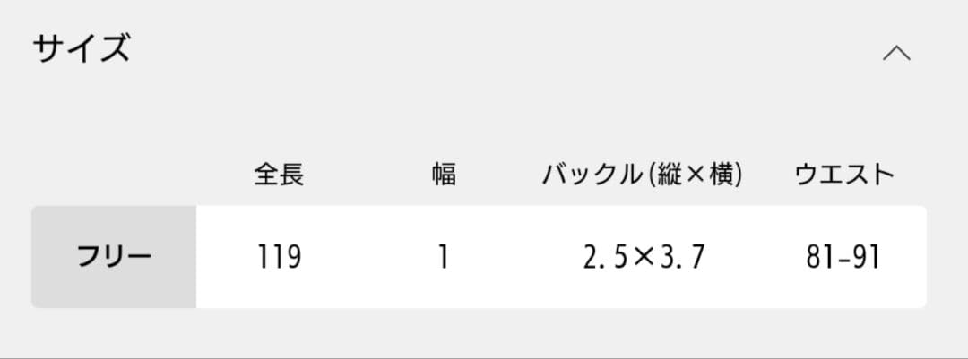 FRAMeWORK PUNTOVITA 別注CONCHO ベルト BR